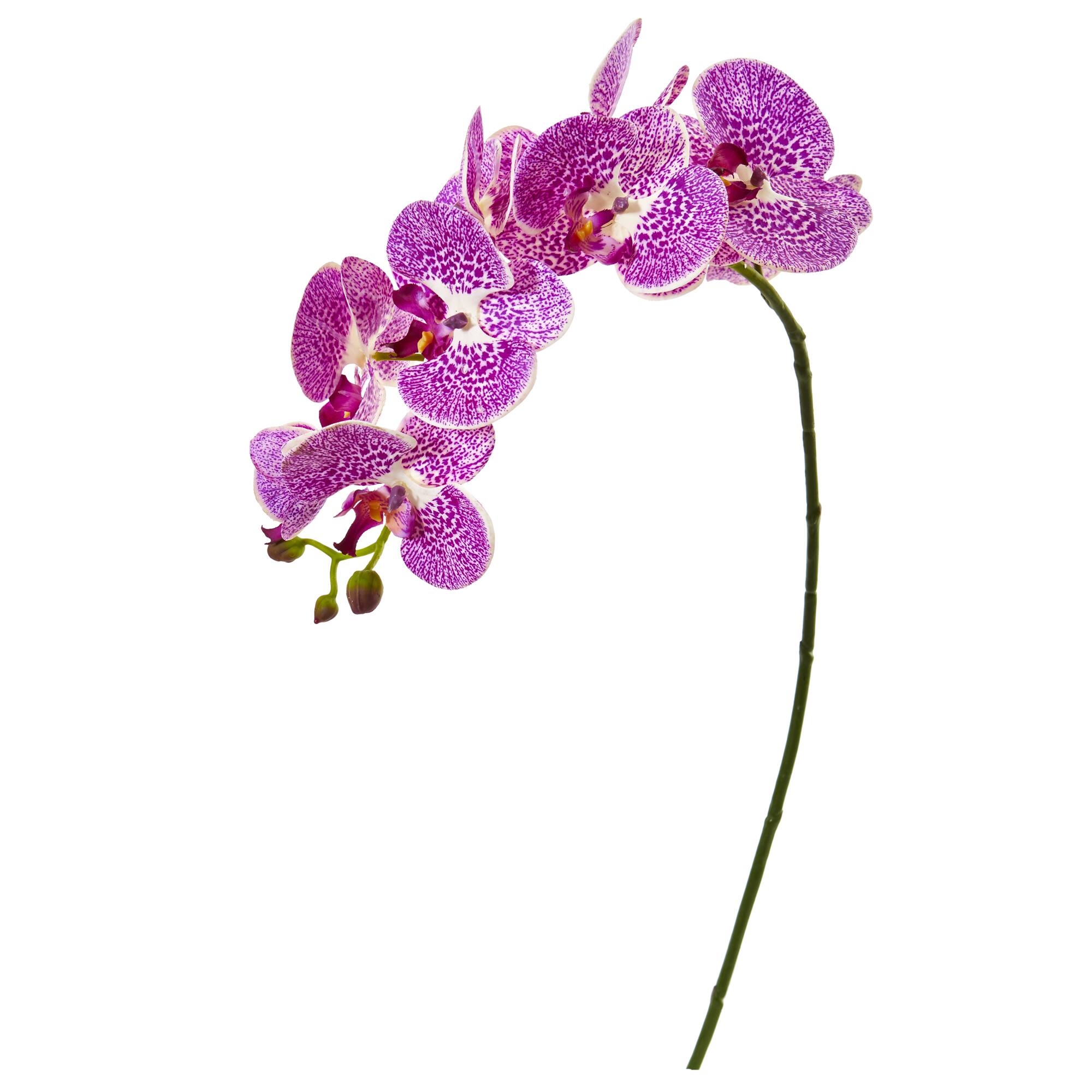 30" Phalaenopsis Orchid Artificial Flower (Set of 6